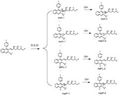 Figure FDA0002454602880000011