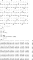 Figure IDA0003164346520000041