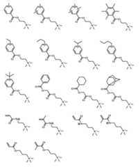 Figure 0007410065000048