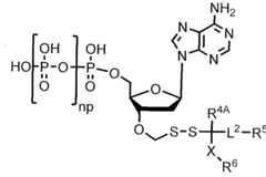Figure imgf000222_0001