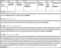 Figure 2023017834000008