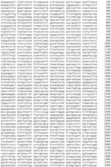 Figure IDA0002536600790000191