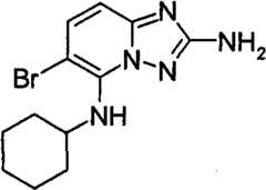 Figure GPA00001035513100582