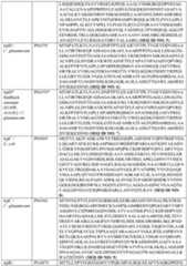 Figure imgf000035_0001