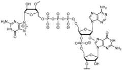 Figure imgf000073_0002