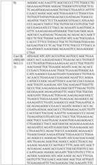 Figure BDA0004033970230005631