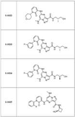 Figure imgf000304_0001