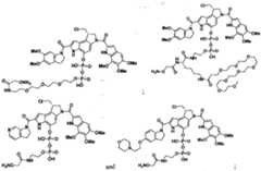 Figure imgf000265_0001