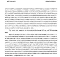 Figure imgf000324_0001