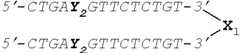 Figure US08202850-20120619-C00034
