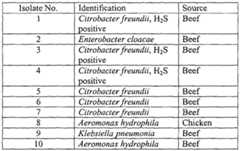Figure imgf000022_0001