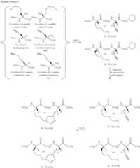 Figure US10308699-20190604-C00047