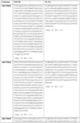 Figure imgf000029_0001