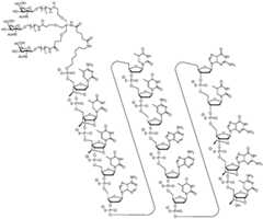 Figure BDA0002976854330000211