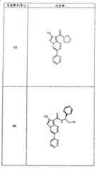 Figure G05845025220070629D000561