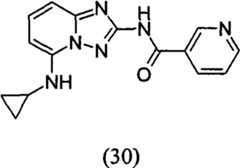 Figure GPA00001035513100782