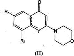 Figure A20081009557300021