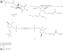 Figure US11084844-20210810-C00105