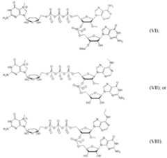 Figure imgf000093_0001