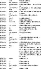 Figure BDA0000057170160000491