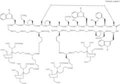 Figure US08278274-20121002-C00038