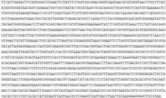 Figure BDA0003579006630000432