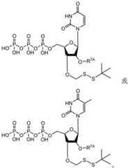 Figure BDA0003670511740003391