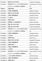 Figure BDA0001349734580003971