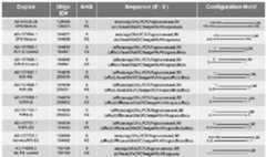 Figure imgf000207_0001