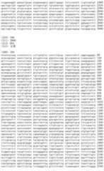 Figure IDA00002091897101801