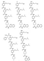 Figure 0007558167000075