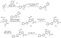 Figure imgf001333_0001