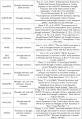 Figure PCTCN2022090268-appb-000072