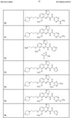 Figure imgf000033_0001