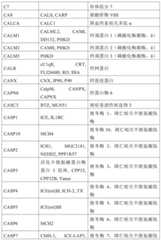 Figure BDA0001878096640000381