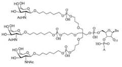 Figure 0007429103000107