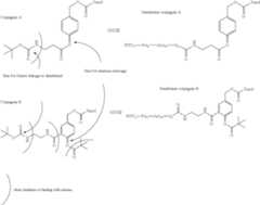 Figure US08980907-20150317-C00011