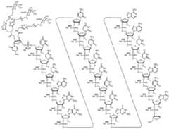 Figure imgf000033_0001