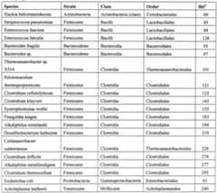 Figure imgf000022_0001