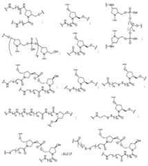 Figure 2023012548000060