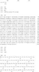 Figure IDA0000079231860001681