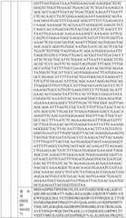 Figure BDA0004033970230007011