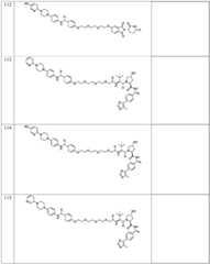 Figure BDA0003027048450003841