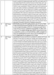 Figure imgf000109_0001