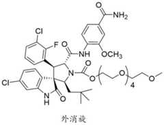 Figure FDA0003109045180000033