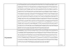 Figure imgf000198_0001
