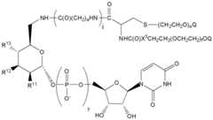 Figure 112009026250918-PCT00185