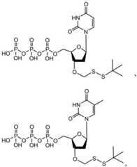 Figure BDA0003670511740003461