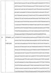 Figure 113124401-A0202-12-0053-12