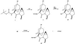 Figure imgf000031_0001